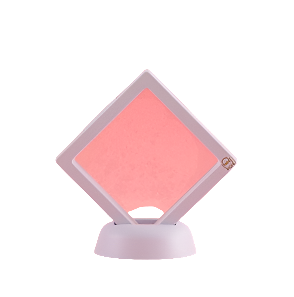 3D Display Stand Case Rack Collections Storage Box